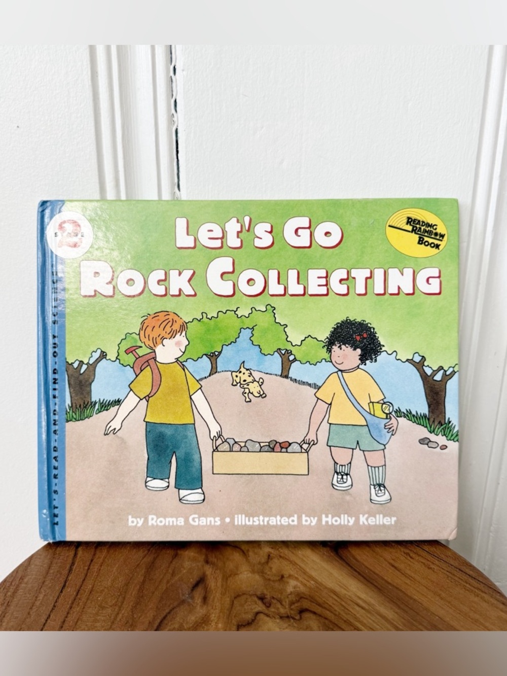 Let's Go Rock Collecting Kids Book
